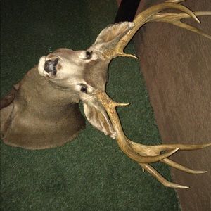 Meet your Posher, Erick